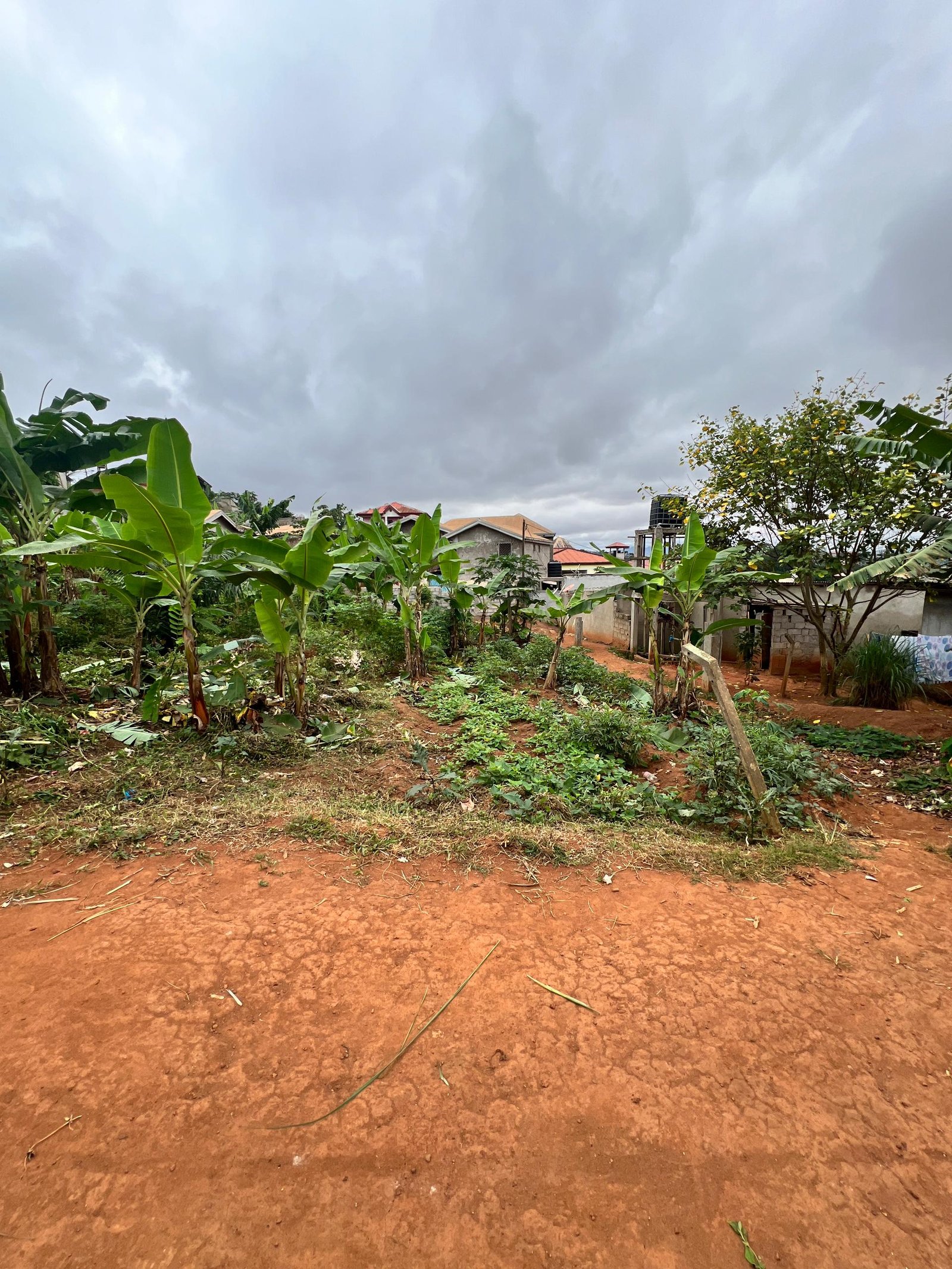 Terrain titré à vendre, Afanoyoa, Yaoundé 