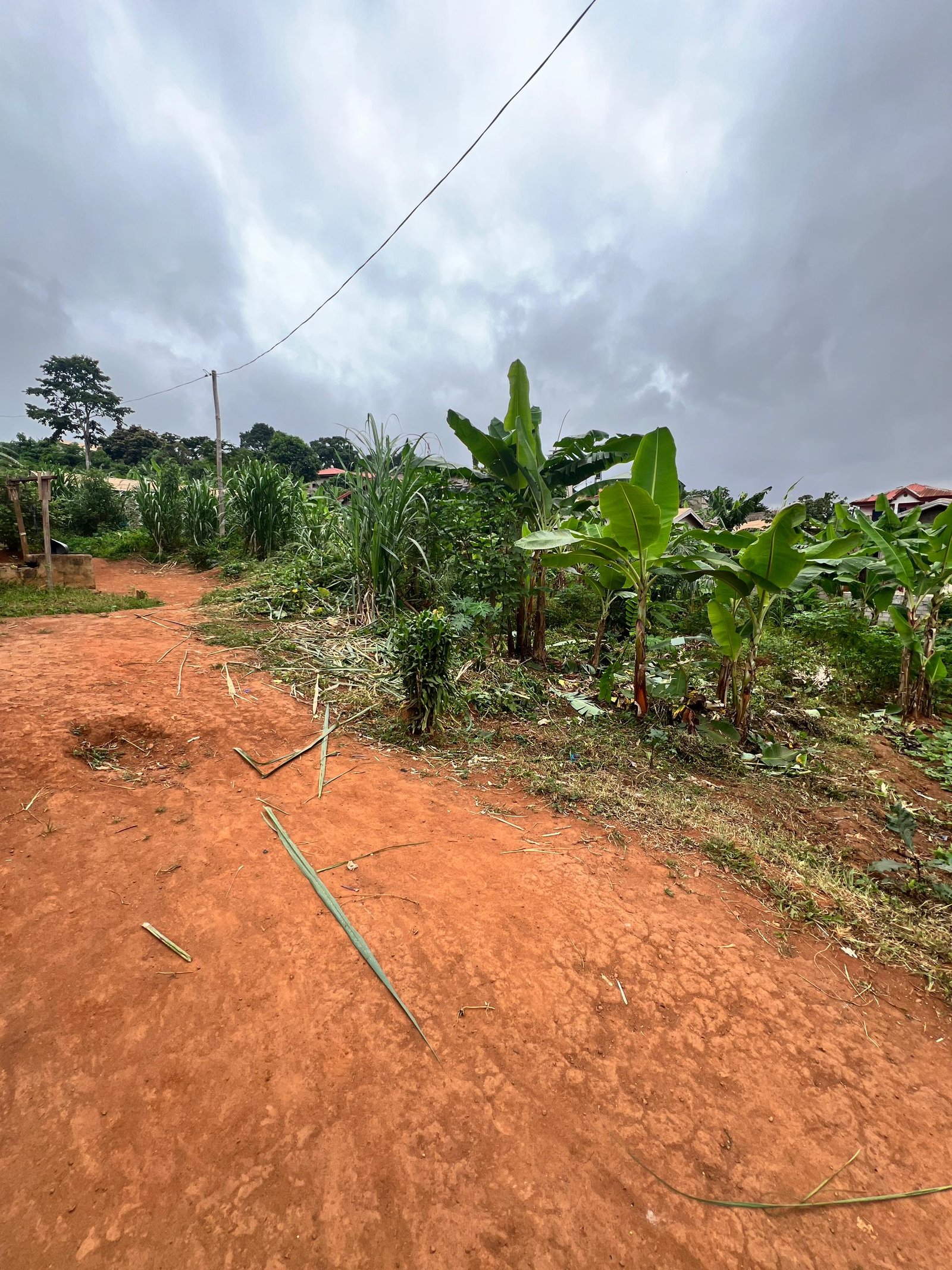Terrain titré à vendre, Afanoyoa, Yaoundé 