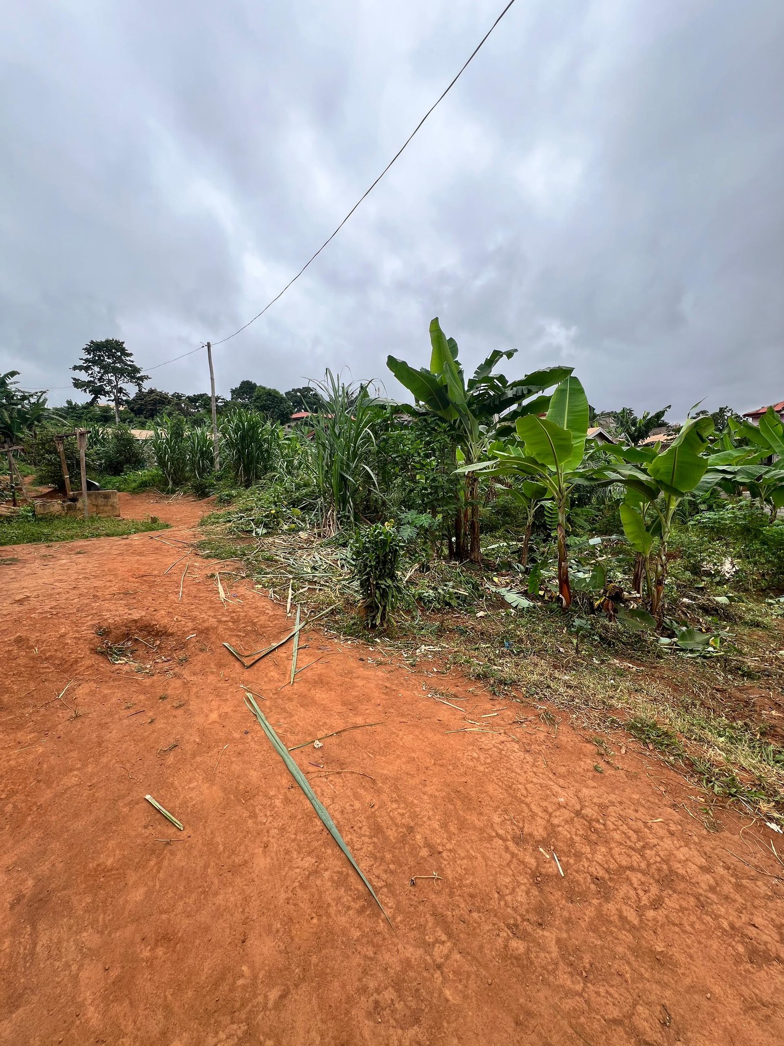 Terrain titré à vendre, Afanoyoa, Yaoundé 