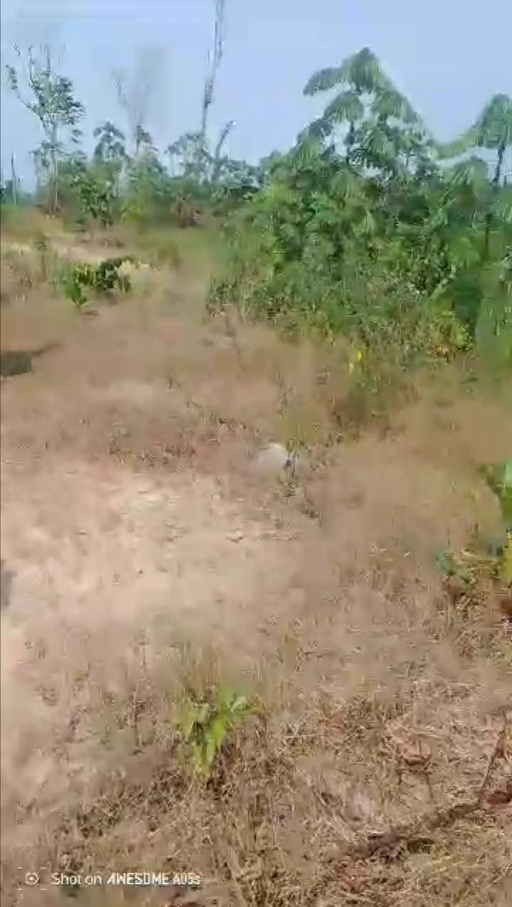 Terrain a vendre kribi 