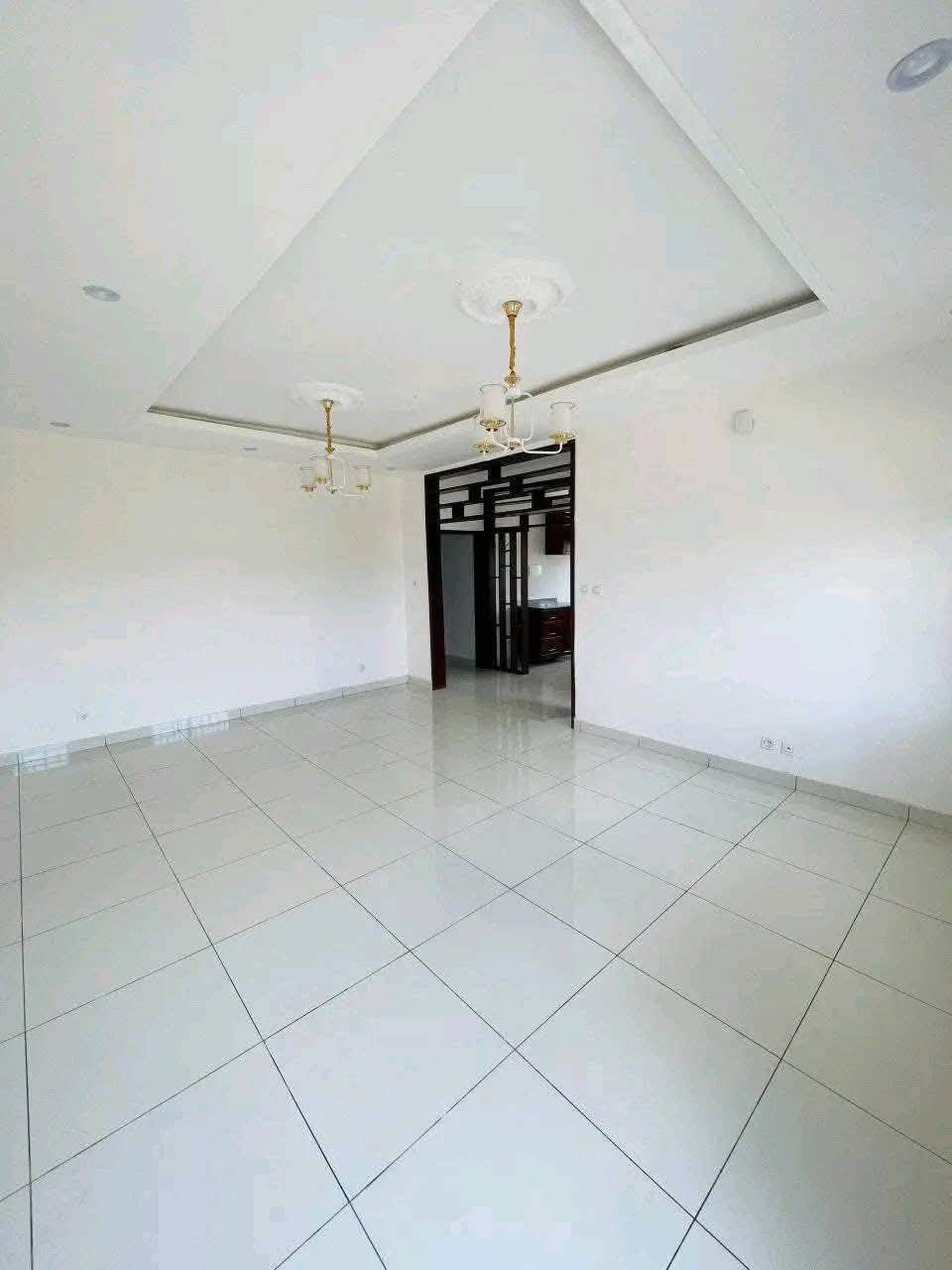 Duplex à vendre, Tsinga village, Yaoundé 