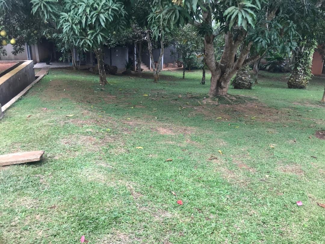 Espace vert à louer, Nkolbisson, Yaoundé 