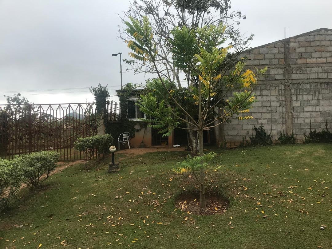 Espace vert à louer, Nkolbisson, Yaoundé 
