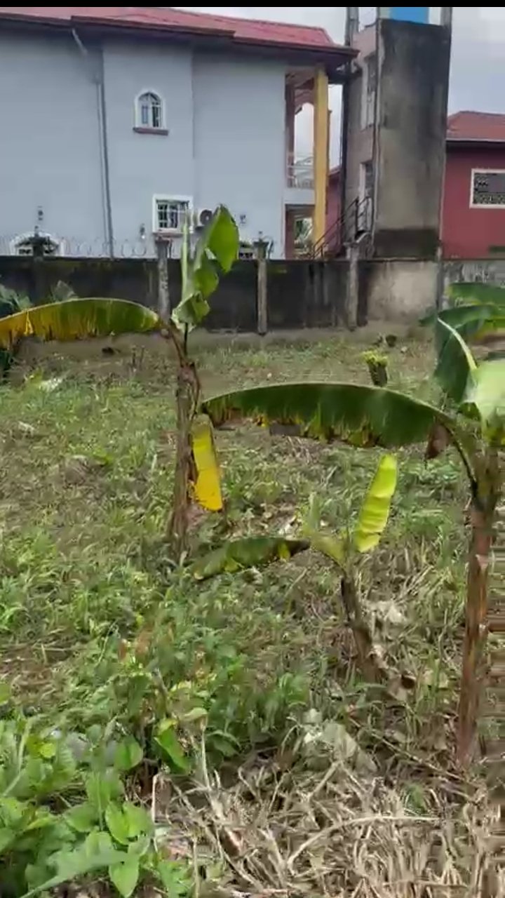 Terrain à vendre à logbessou de 300m2