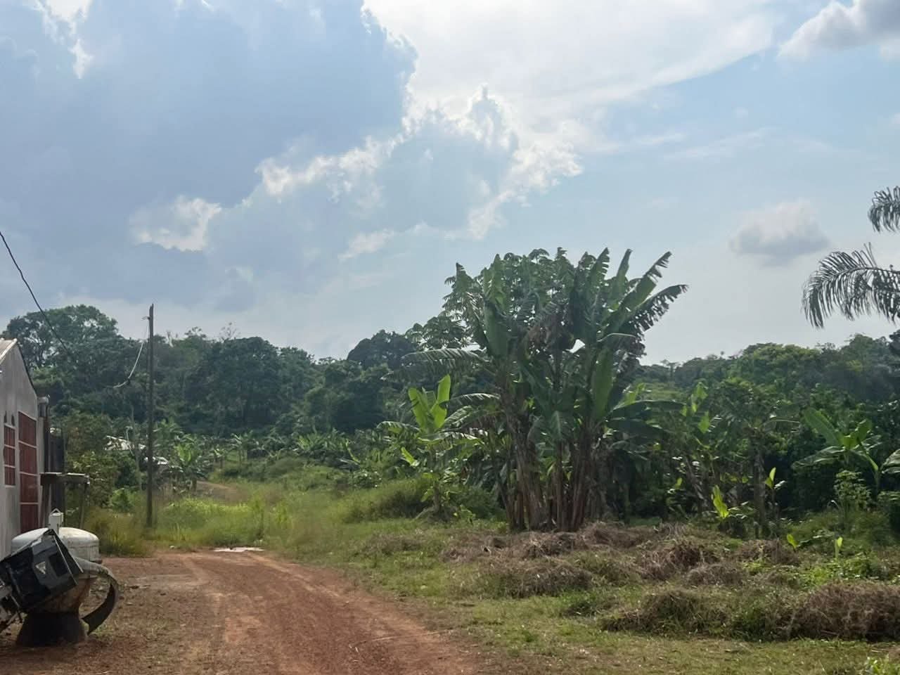 Terrain à Vendre, PK17–PK19, Douala