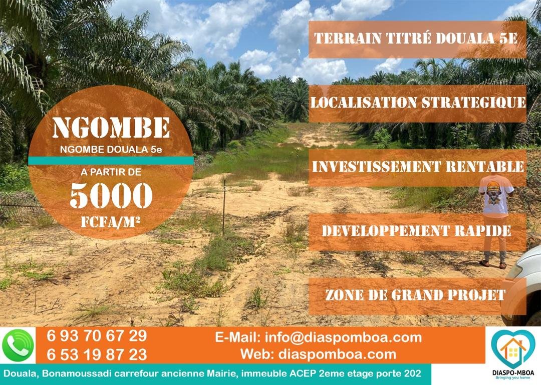 Terrain titré et loti à vendre à Douala lieu dit Ngombé 
