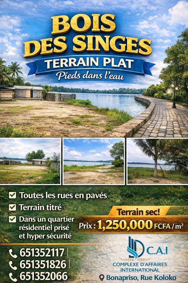Terrain titrés et Sécurisé a bois des singes 
