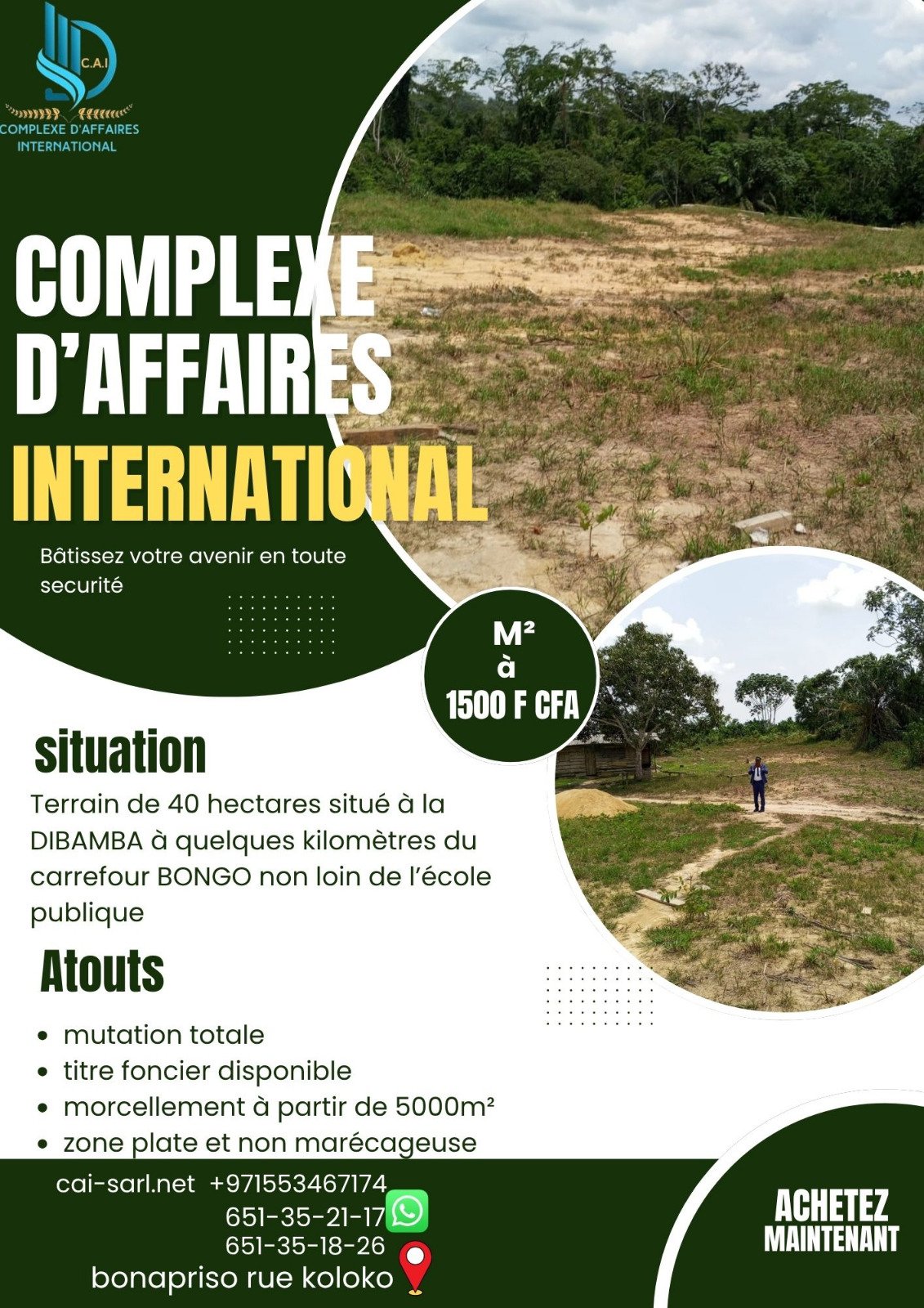 Terrain titré a Dibamba Bongo 