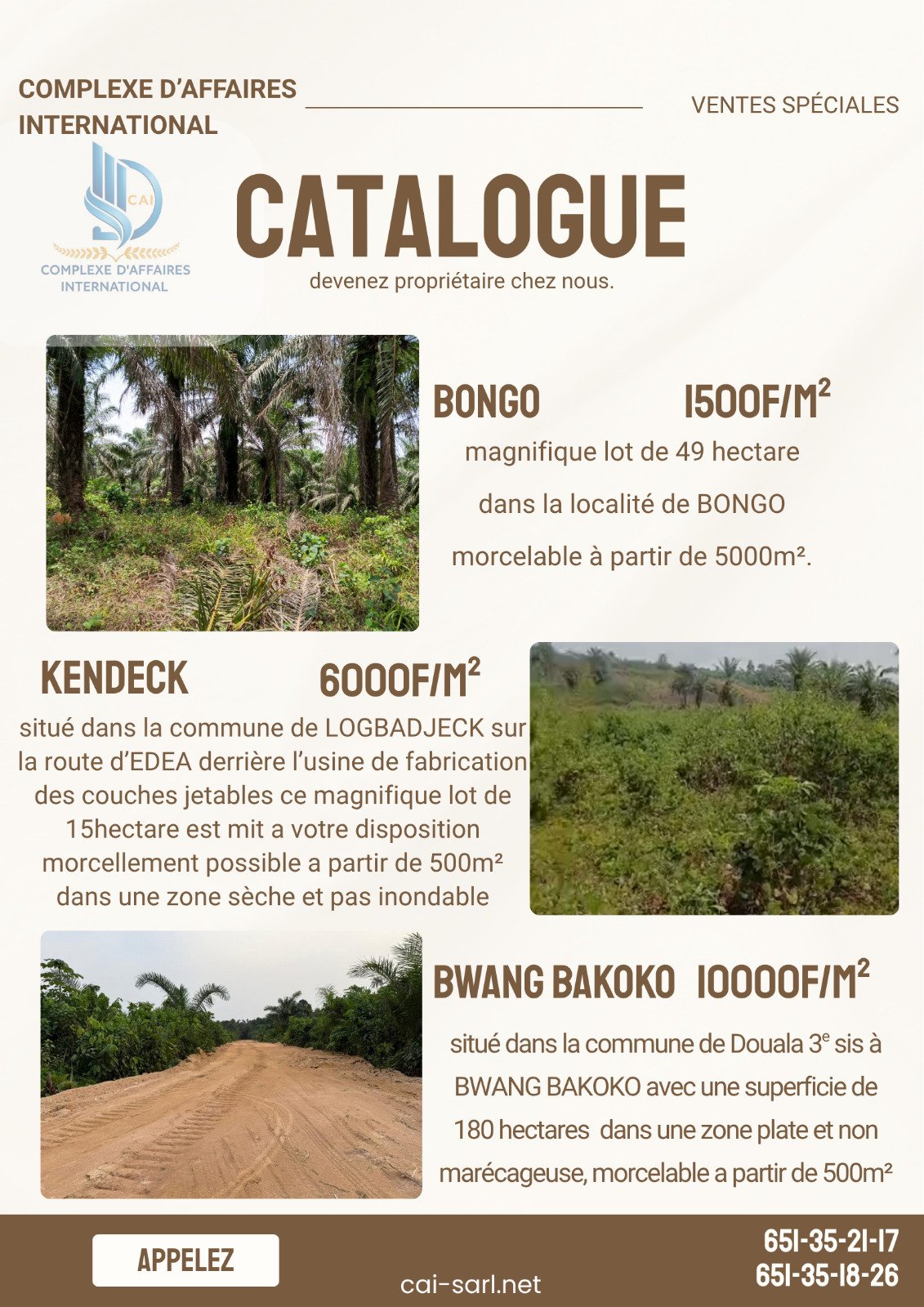 Terrains bongo bwang bakoko et kendeck 