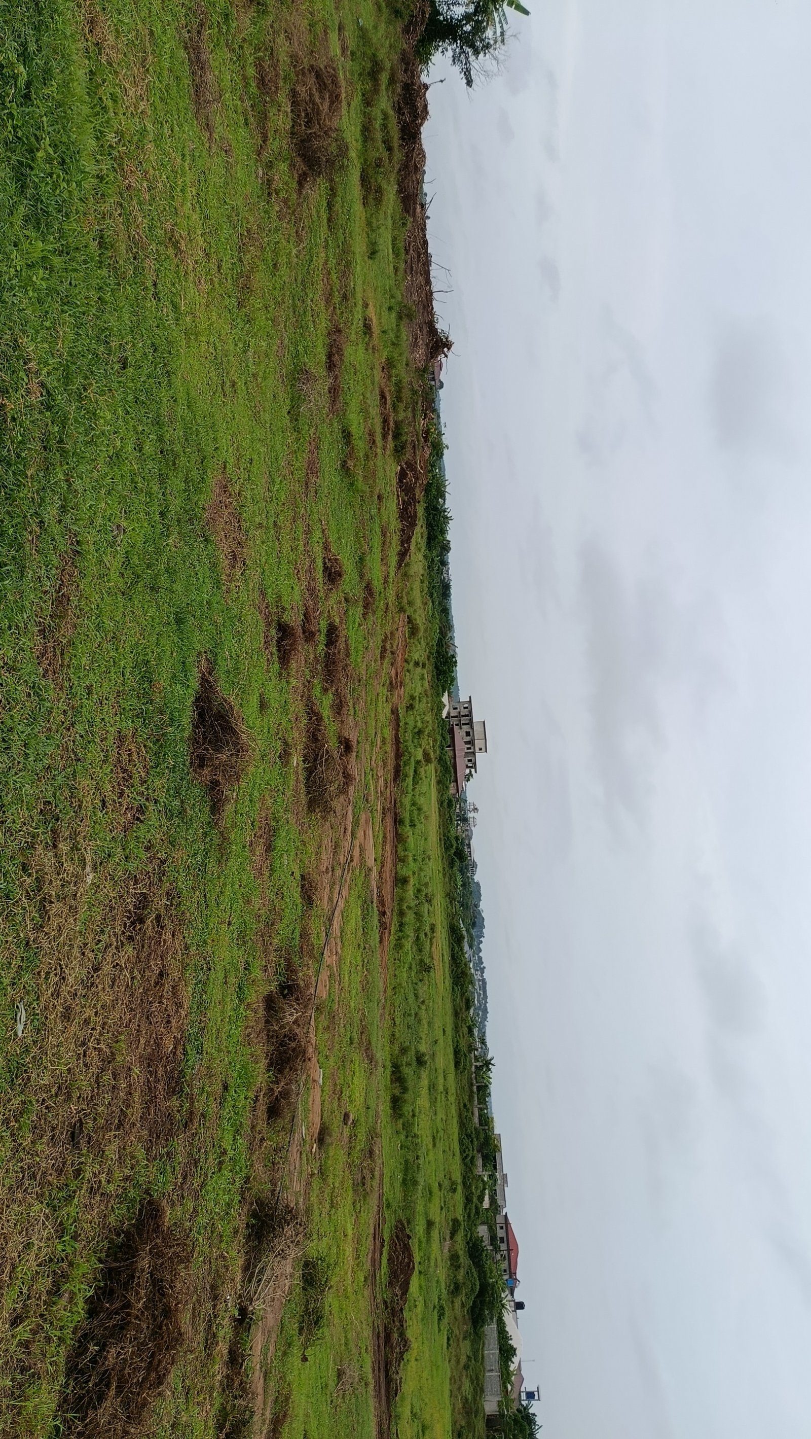 Terrain titré à vendre à yassa derrière deuxième blessing 