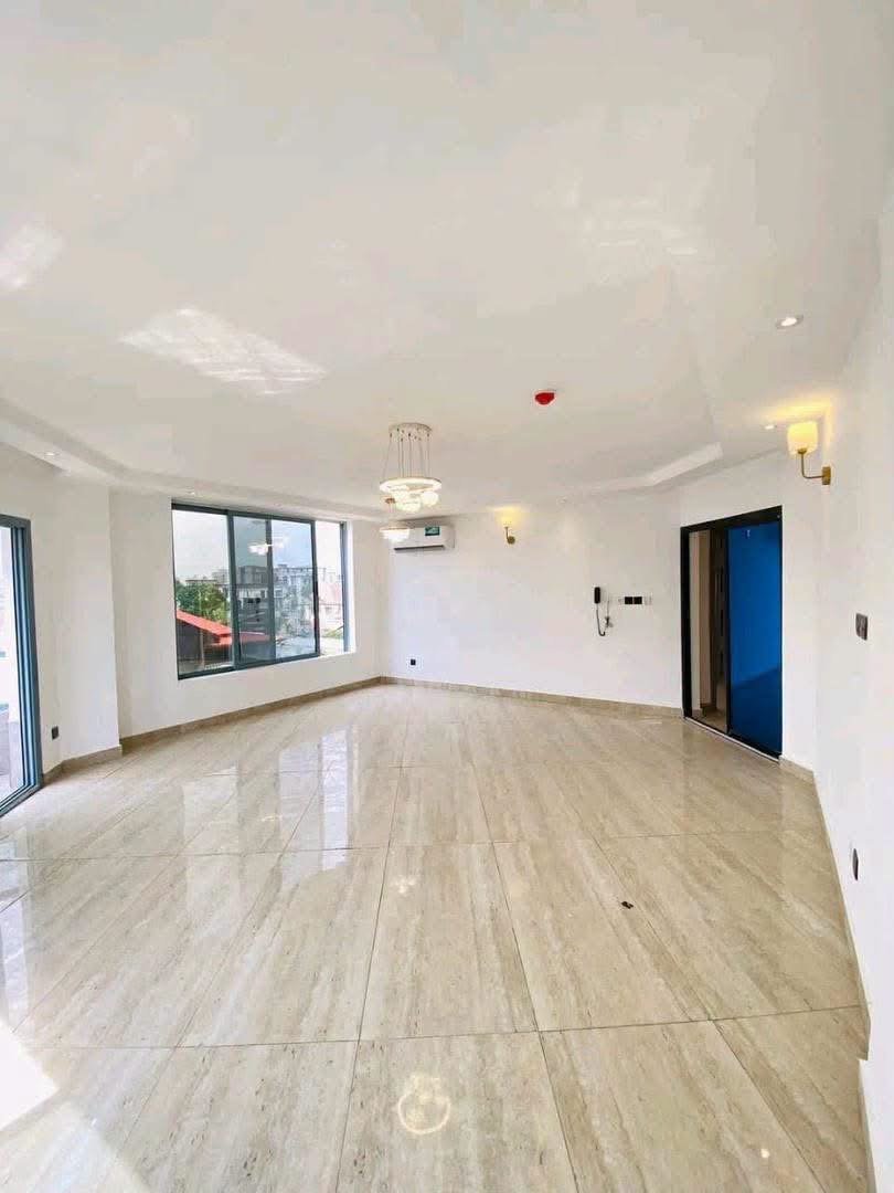 Appartement Haut Standing Bonapriso 