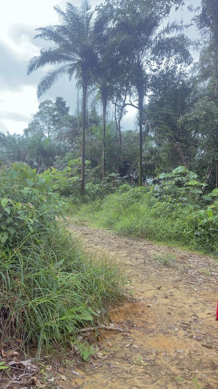 Terrains titré et lotis dans Douala et ses environs