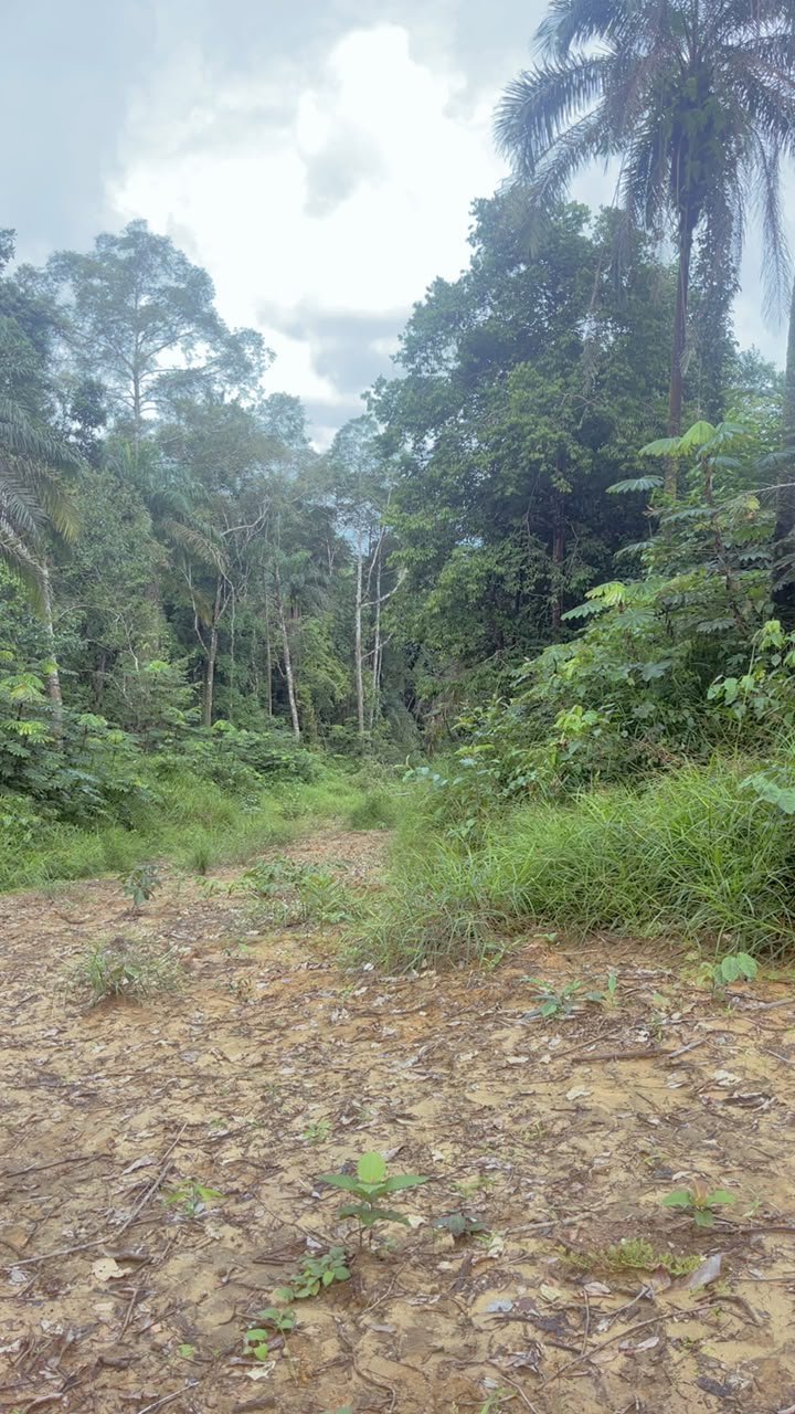 Terrains titré et lotis dans Douala et ses environs