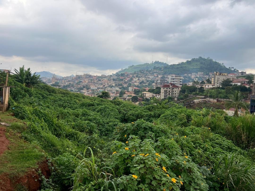 Terrain titré à vendre Yaoundé 
Quartier golfe en face palais des congrès 
Prix 300000
Superficie 1000 m2